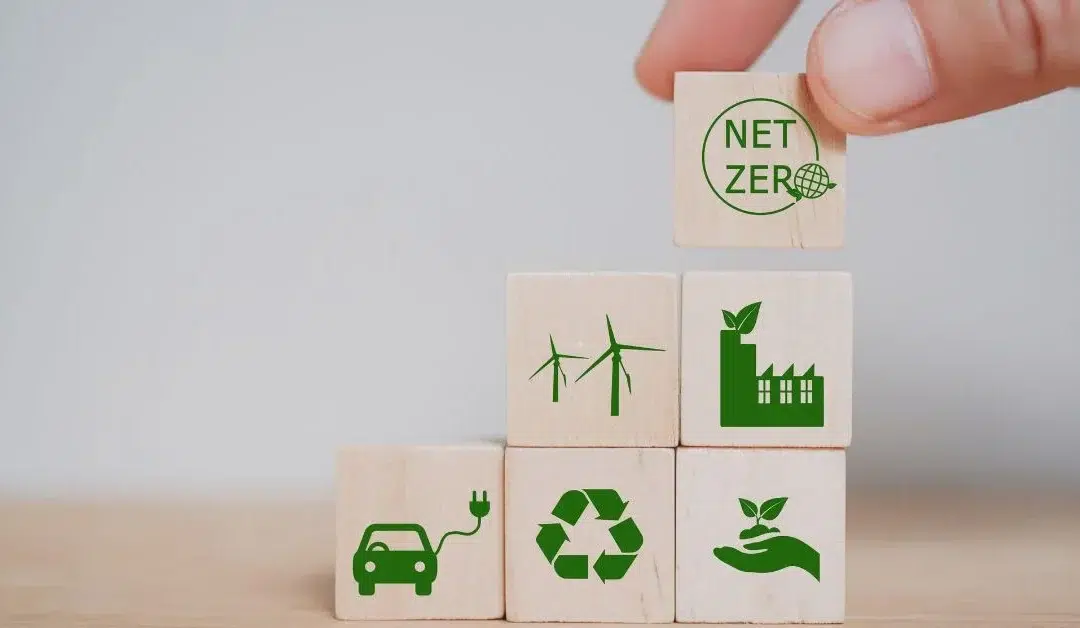 From Vision to Reality: How to Successfully Build a Net-Zero Home